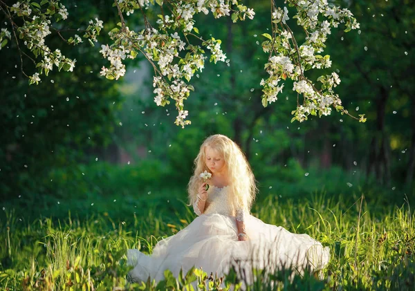 Gün Batımı Çiçek Üfleme Elma Parkta Beyaz Elbiseli Küçük Kız — Stok fotoğraf