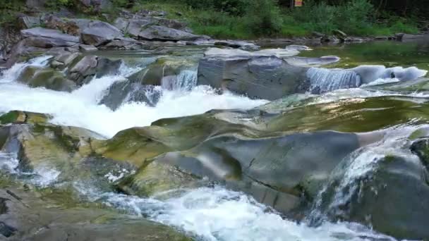 Karpaten Waterval Watervallen Waterval Natuur — Stockvideo