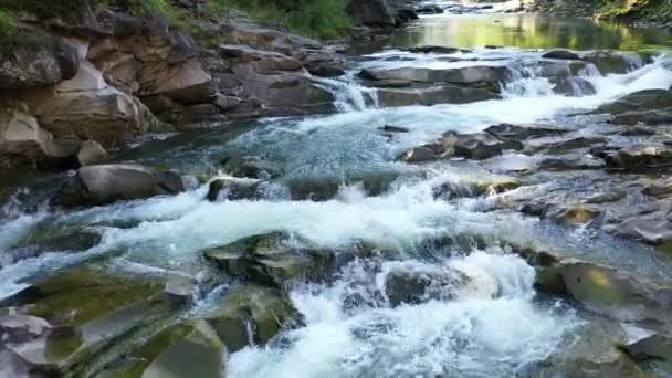 Карпатский Водопад Водопад Каскад Природа — стоковое видео