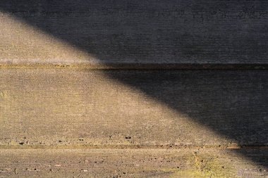 Arka planda gölgesi olan doğal yosunlu ahşap. Sürdürülebilir malzeme kavramı.