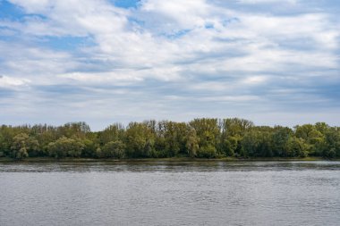 Basit, huzurlu nehir manzarası, orman ve bulutlu mavi gökyüzü..