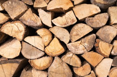 Yığılmış meşe ve kayın ağacı. Doğal arkaplan.