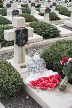 Lviv, Ukrayna - 2 Temmuz 2019: Polonya Ukrayna 'nın Lviv' in Koruyucuları Mezarlığına karşı açtığı savaştan kalma savaş mezarları.