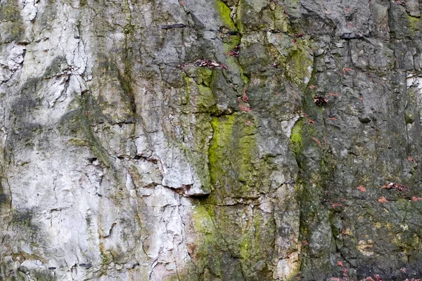 苔を背景に 古い頑丈な石の壁 ざわめき — ストック写真