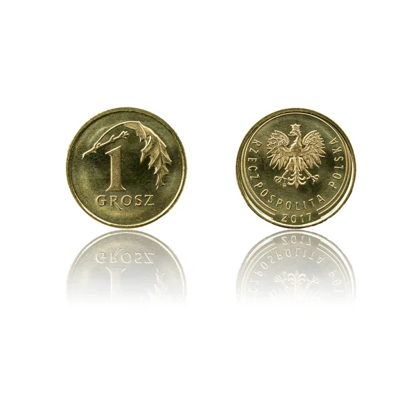 Польська Валюта Гран Монета Pln Або Злотий Ізольована Білому Тлі — стокове фото