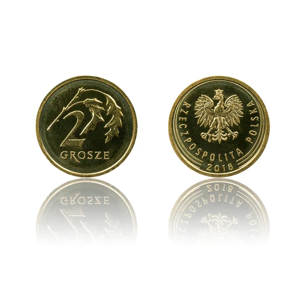 Polská Měna Mince Pln Nebo Zlotý Izolované Bílém Pozadí Odrazem — Stock fotografie