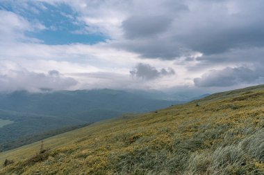Polonya, Bieszczady 'de bulutların arasında dağ sırası.