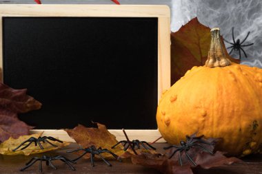 Fotokopi alanı olan boş tebeşirli turuncu cadılar bayramı kabağı. Sonbahar renkli yapraklar, örümcekler ve örümcek ağı.