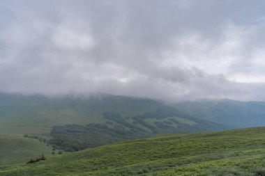Polonya, Bieszczady 'de bulutların arasında dağ sırası.