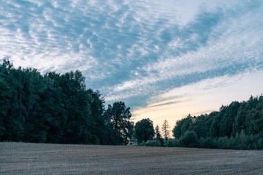 Sahanın ve ormanın üzerinde, alacakaranlıkta dramatik bir gökyüzü. Boşluğu kopyala