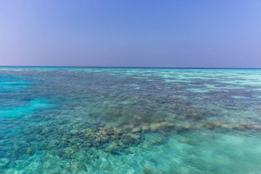 Turkuaz mavi tropikal deniz suyu