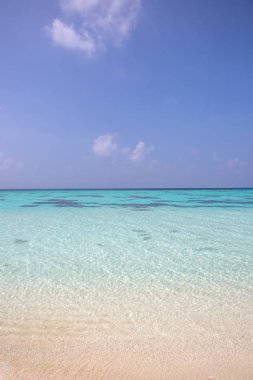 Turkuaz mavi tropikal deniz suyu