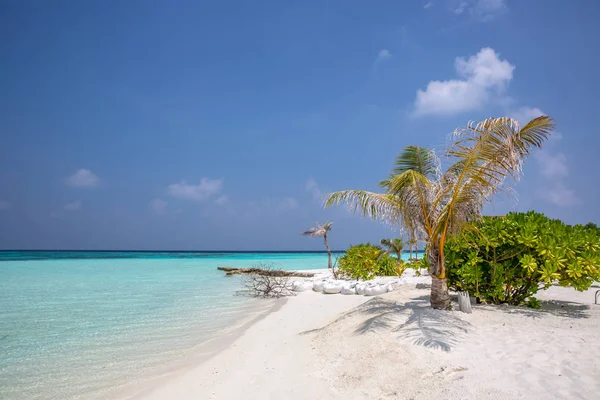 Şaşırtıcı beach, sarı plaj şemsiyesi, mavi gökyüzü, cennet, mükemmel ağ geçidi tatil kavramı.