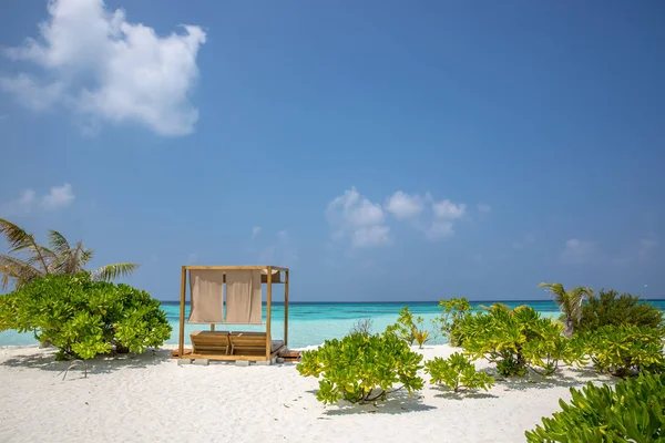 Şaşırtıcı beach, sarı plaj şemsiyesi, mavi gökyüzü, cennet, mükemmel ağ geçidi tatil kavramı.