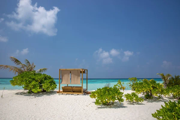 Şaşırtıcı beach, sarı plaj şemsiyesi, mavi gökyüzü, cennet, mükemmel ağ geçidi tatil kavramı.