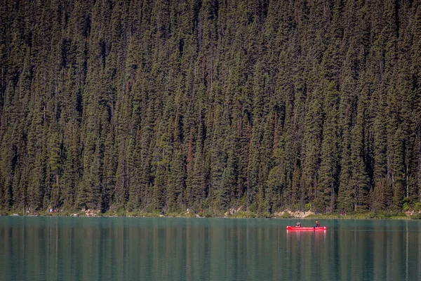 Touristes Kayak Avec Des Pins Arrière Plan — Photo