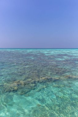 Turkuaz mavi tropikal deniz suyu
