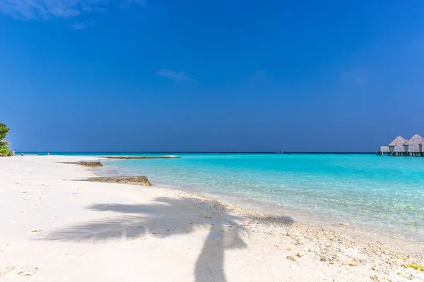 Palm Árnyékában Egy Fehér Homokos Strand Tökéletes Paradicsomi Hely Maldív — Stock Fotó