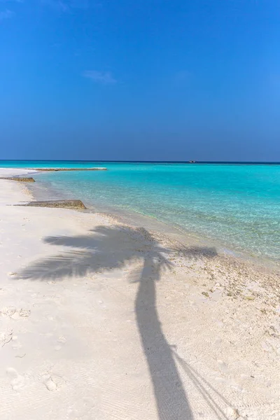 Palm Árnyékában Egy Fehér Homokos Strand Tökéletes Paradicsomi Hely Maldív — Stock Fotó