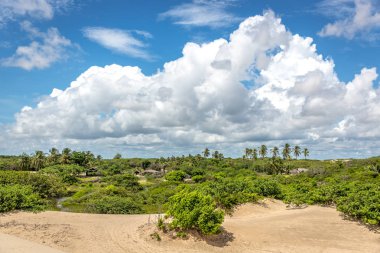 Palmiye ağaçları, nehirler ve mavi gökyüzü gün beyaz kum ile benzersiz bir yer. Egzotik hedef Kuzey Brezilya, Güney Amerika.