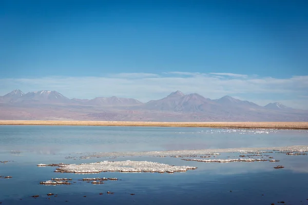 Αλυκή Salar Στην Έρημο Ατακάμα Της Χιλής Νότια Αμερική — Φωτογραφία Αρχείου