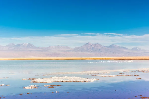 Bellissimo Scenario Nel Deserto Atacama Cile Settentrionale Sud America — Foto Stock