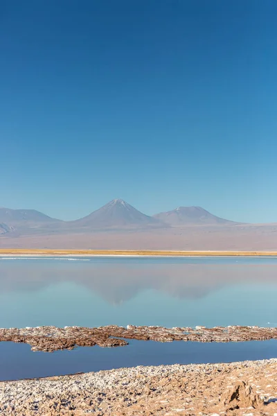 Skenario Indah Gurun Atacama Chili Utara Amerika Selatan — Stok Foto