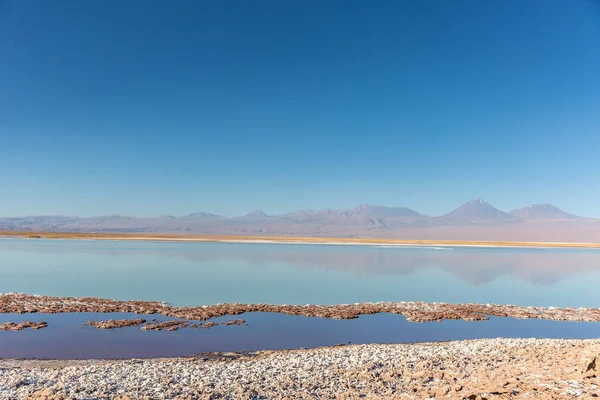 Skenario Indah Gurun Atacama Chili Utara Amerika Selatan — Stok Foto