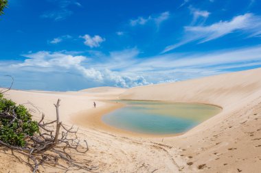 Amazing landscape, white sand dunes, blue sky, flesh water lagoon, wood trees and a lonely person clipart