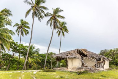 Brezilya kuzeyinde etrafında bazı palmiye ağaçları ile hava tarafından geleneksel bir ev