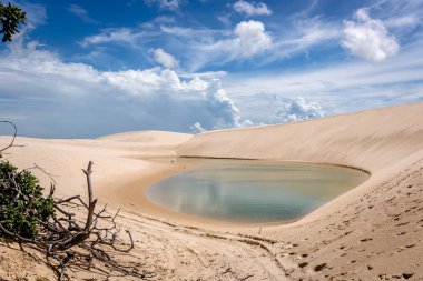 Brezilya kuzeyinde, çarpıcı senaryo