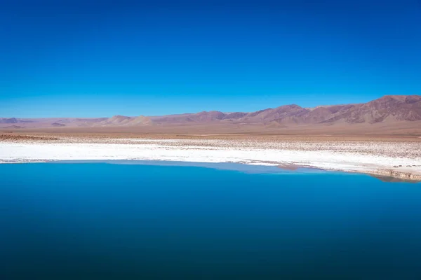 Reflexão Água Deserto Atacama — Fotografia de Stock