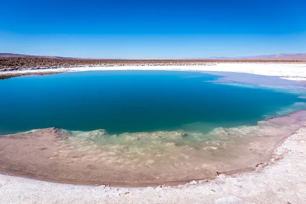 Lagunas Escondidas 一个独特的风景看 必须为旅行者参观圣佩德罗 阿塔塔德 — 图库照片