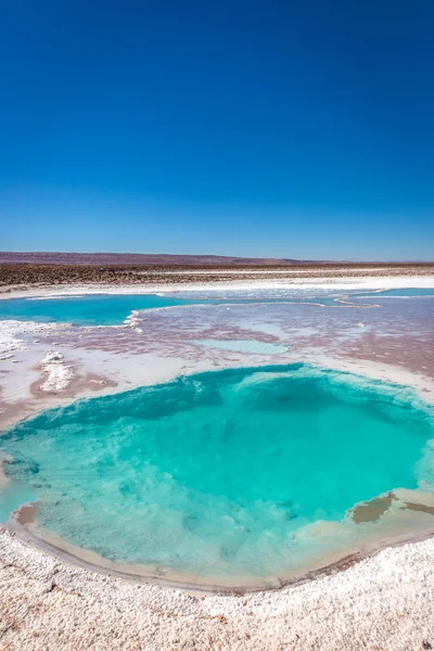 Laguna Escondida Atacama Chile Must Place One Hour San Pedro —  Fotos de Stock