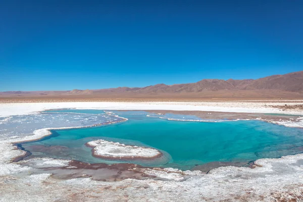 Désert Atacama Dans Nord Chili — Photo