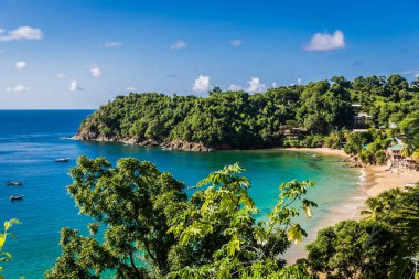 Trinidad ve Tobago, Caribe - mavi gökyüzü, ağaçlar, kum plaj harika tropikal plaj