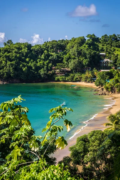 Удивительный Тропический Пляж Тринидаде Тобаго Карибе — стоковое фото