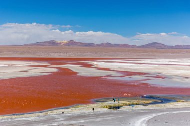 Bolivya çok benzersiz Laguna Colorida