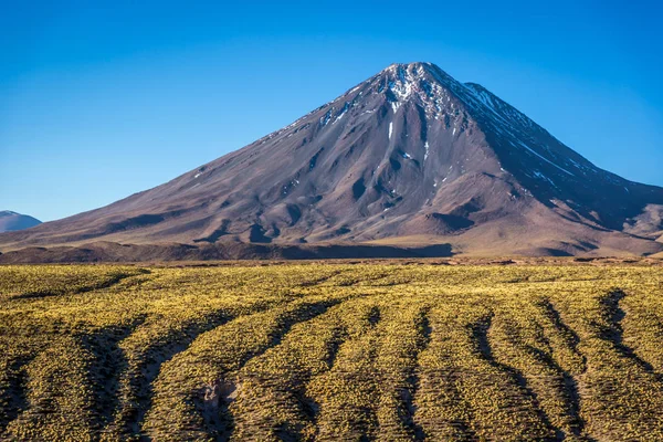 Geweldige Vulcano Atacama Woestijn Chile — Stockfoto