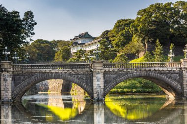 Tokyo, Japonya ana şehir tapınakta şaşırtıcı senaryoda