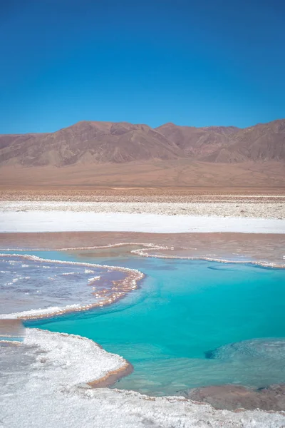 Une Étonnante Lagune Eau Bleue Milieu Désert Atacama Chili — Photo