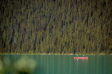 Banff, Canada - 15th Eylül 2017 - kaç turist çam ağaçları içinde belgili tanımlık geçmiş Banff National Park Kanada ile bir yeşil su gölde kayık yapıyor