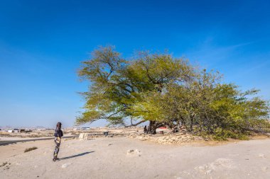 Bahreyn, Şubat 3nd 2018 - Bahreyn hayat ağacı isteyen bir turist