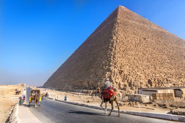 Cairo, Mısır - 4 Kasım 2018 - yerli deve Kahire'deki Giza piramitleri çevresinde bir açık mavi gökyüzü gün içinde Mısır'kullanarak.