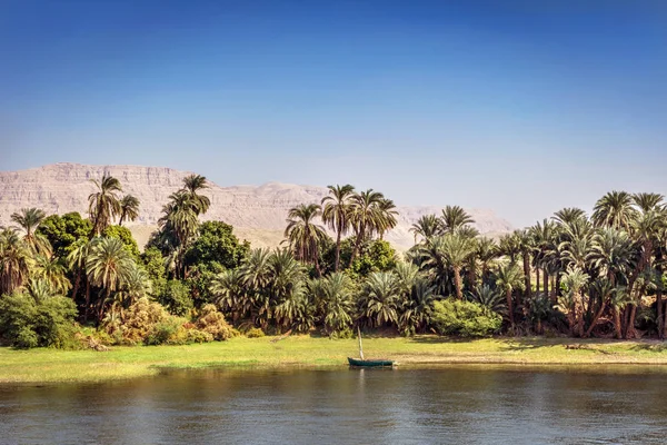 Incredibile Scenario Bordo Del Fiume Nilo Con Palme Erba Montagne — Foto Stock