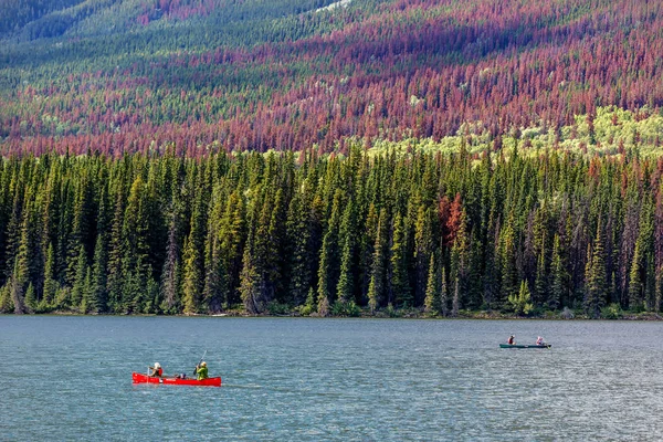 Jasper Canadá Setembro 2017 Turistas Fazendo Caiaque Uma Paisagem Incrível — Fotografia de Stock