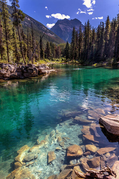 Very clear water with some rocks and pine trees in a blue sky day in Banff National Park in Canada