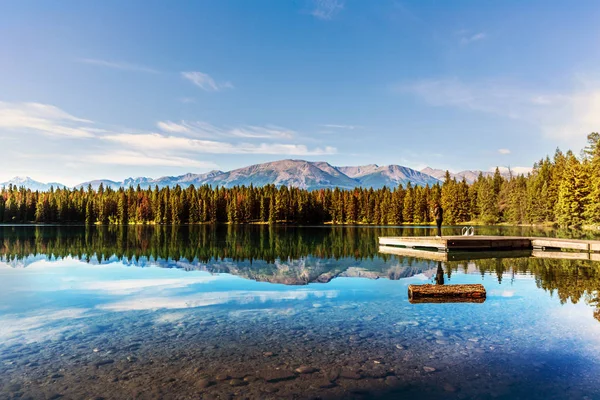 Reflexão Água Incrível Lago Calmo Com Floresta Pinheiros Verão Primeiras — Fotografia de Stock