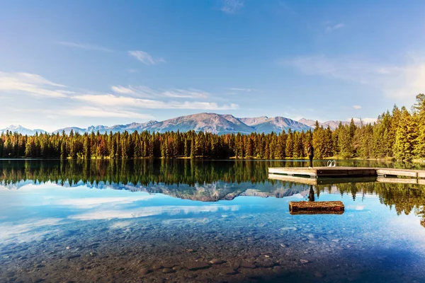 Fantastisk Vatten Eftertanke Lugn Sjö Med Pinjeskog Sommar Tidiga Timmarna — Stockfoto