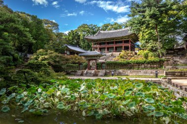 Yeşil bitki örtüsü mavi gökyüzü gün içinde Changgyeonggung Seoul, Güney Kore arasında şaşırtıcı Sarayı